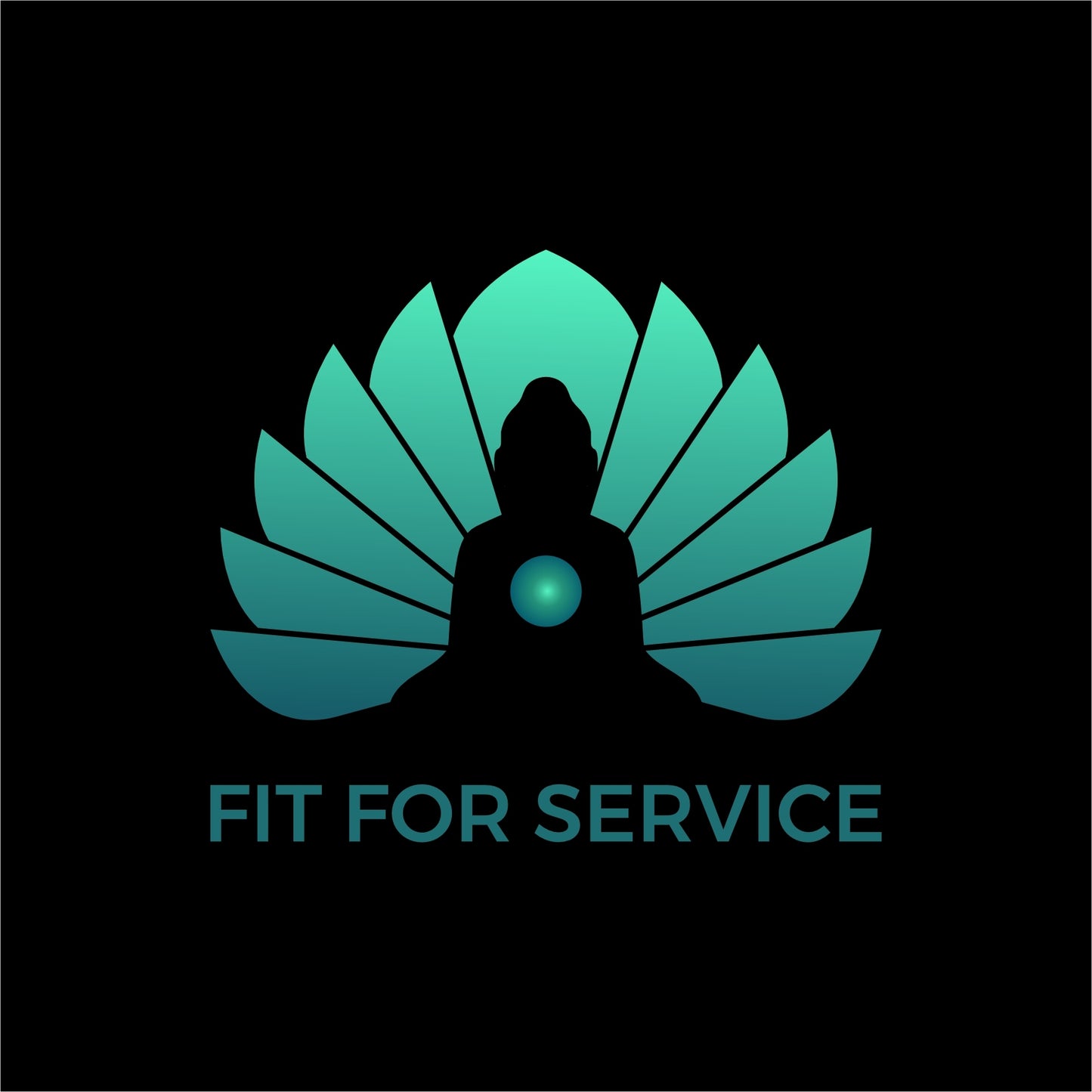 Accelerator 3X Payment Plan